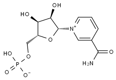β-烟酰胺单核苷酸（NMN）
