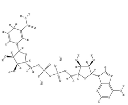 β-烟酰胺腺嘌呤二核苷酸二钠盐 ( 还原型辅酶 I )（NADH）
