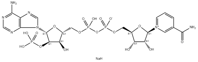 β-烟酰胺腺嘌呤二核苷酸磷酸（一钠盐/二钠盐）（NADP）