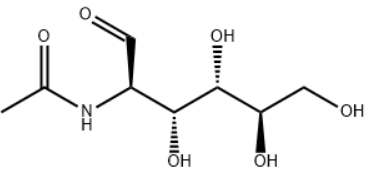 N-乙酰氨基葡萄糖