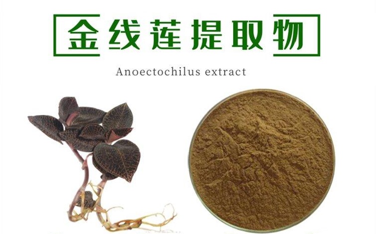 下一个化妆品爆火成分：金线莲提取物